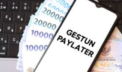 Memanfaatkan Paylater untuk Gestun