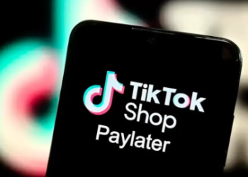 Solusi Cepat Jasa Gestun TikTok Paylater Anda!
