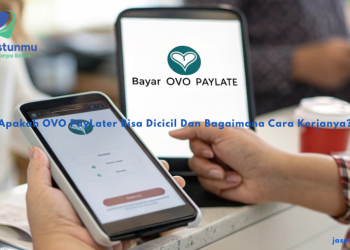 Apakah OVO PayLater Bisa Dicicil Dan Bagaimana Cara Kerjanya?