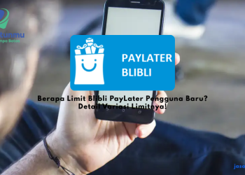 Berapa Limit Blibli PayLater Pengguna Baru? Detail Variasi Limitnya!