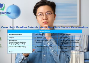 Cara Limit Kredivo Setelah Lunas Bisa Naik Secara Keseluruhan